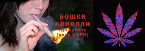 СК Каменка