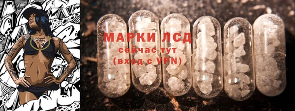 прущие грибы Каменск-Шахтинский