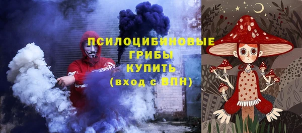 дурь Каменногорск