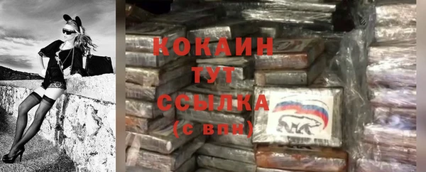 СК Каменка