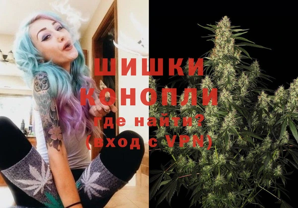 прущие грибы Каменск-Шахтинский