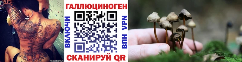 Галлюциногенные грибы GOLDEN TEACHER  Купить где  Велиж 