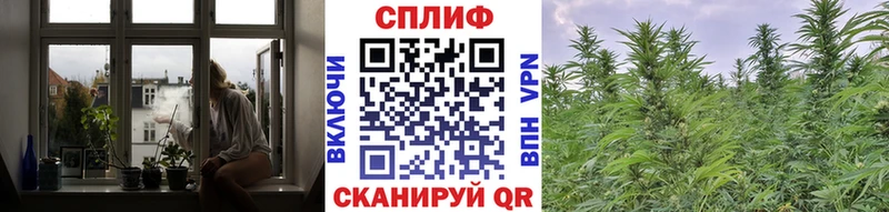 Бошки марихуана индика  Купить где  Велиж 